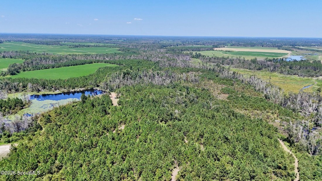 Farm Ranch in Hazlehurst, Georgia, Vereinigte Staaten 1 - 18076448
