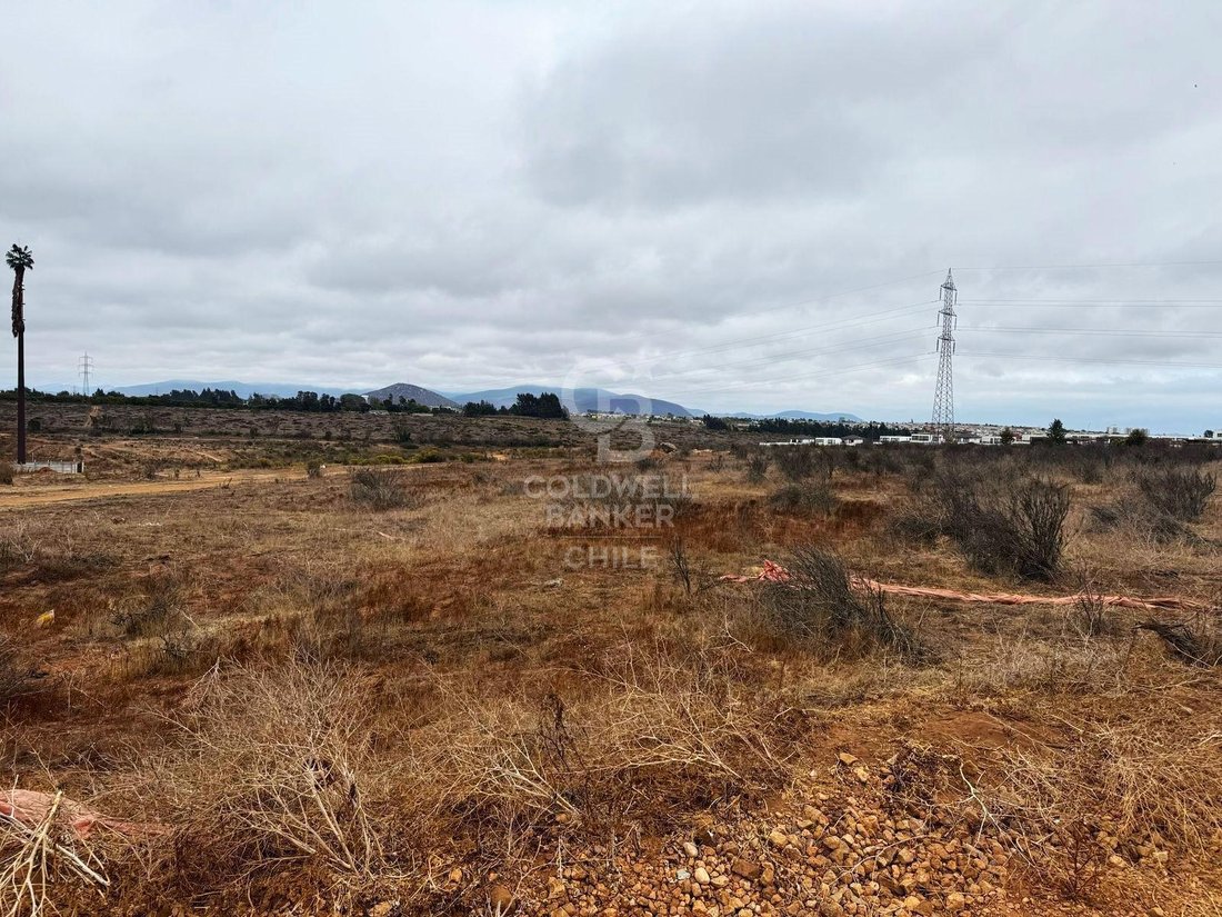 Land in La Serena, Coquimbo, Chile 3 - 18076567