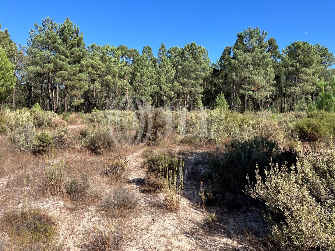 Land in Carvalhal, Setubal, Portugal 5 - 18077521