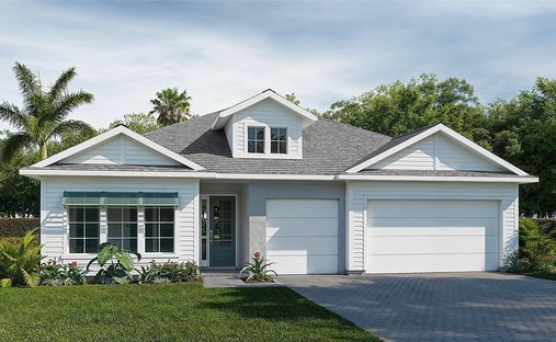 House in Ellenton, Florida, United States 1