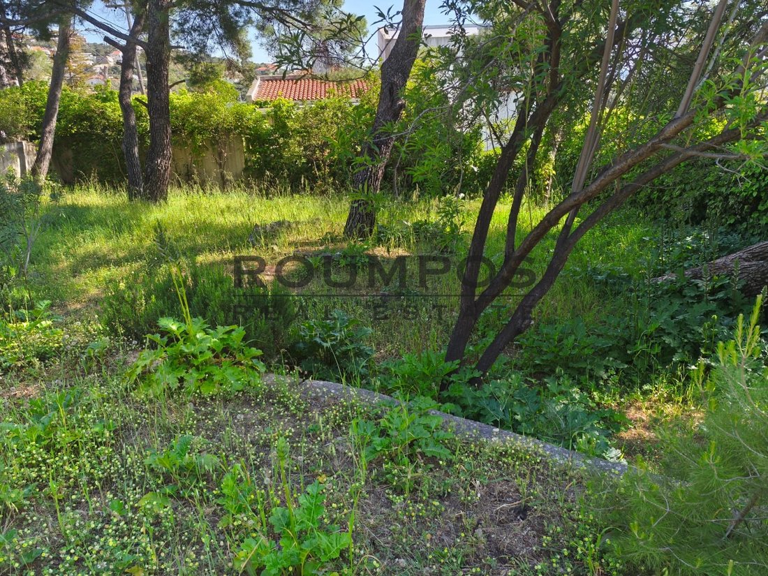Land in Penteli, Attica, Greece 1 - 18072306