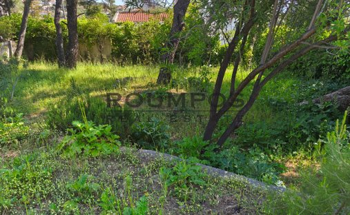 Land in Penteli, Attika, Griechenland 1