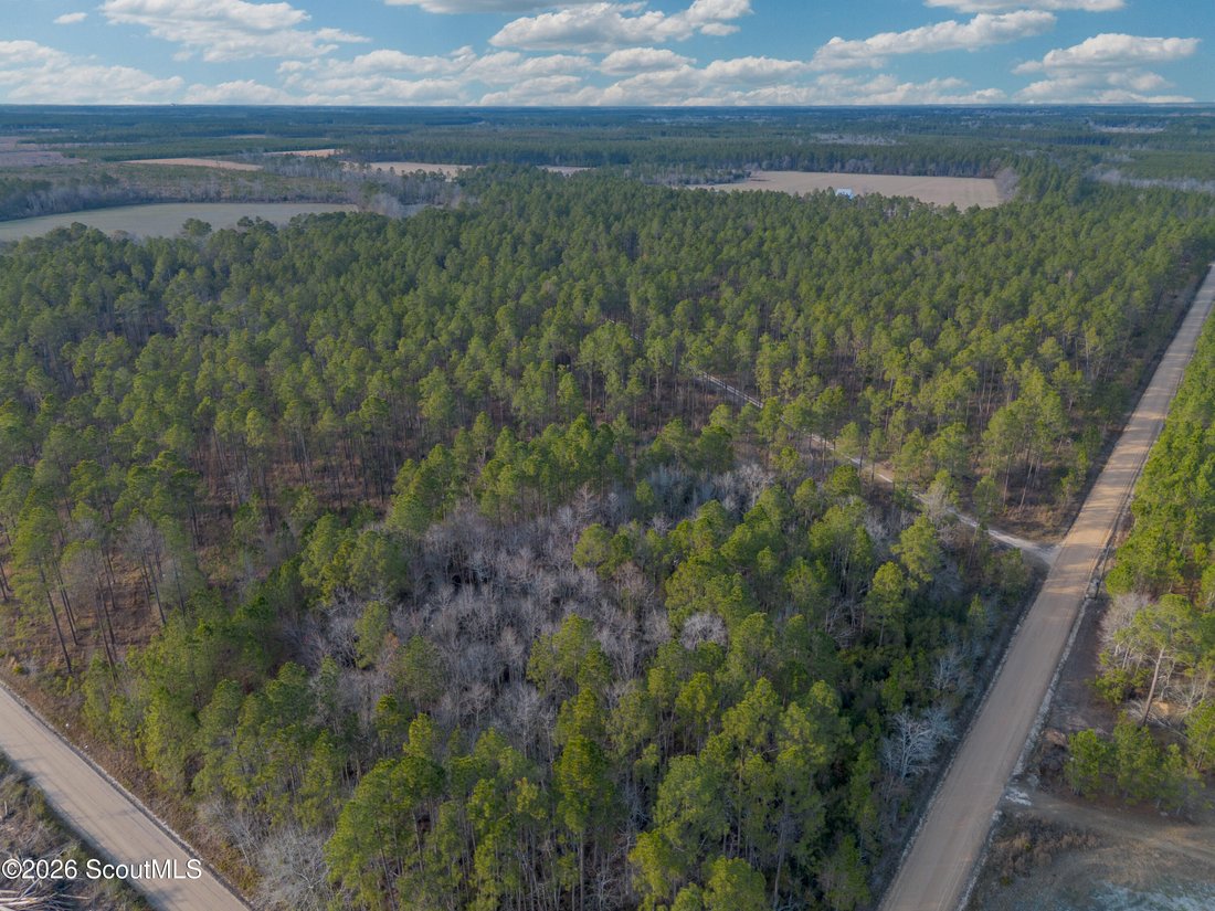 Farm Ranch in Odum, Georgia, United States 5 - 18076562