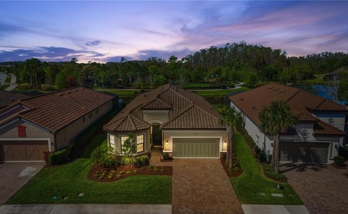 Haus in Odessa, Florida, Vereinigte Staaten 1