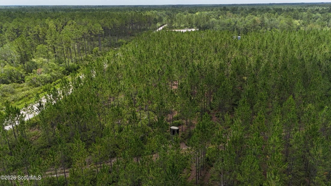 Farm Ranch in Manor, Georgia, United States 5 - 18076127