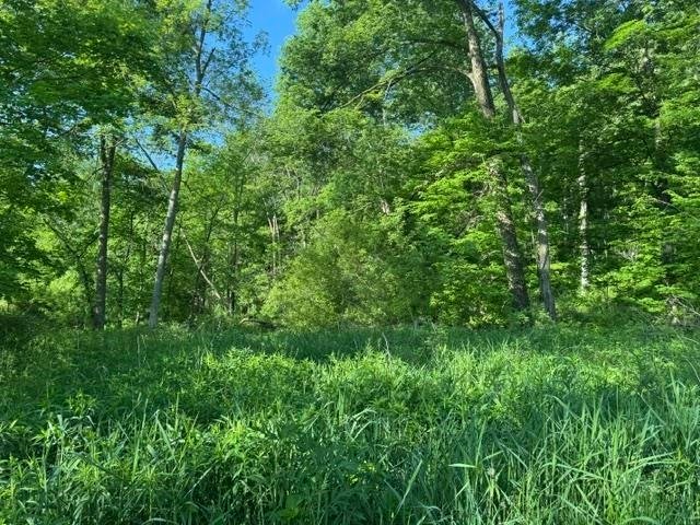 Land in Blue River, Wisconsin, United States 4 - 18073707