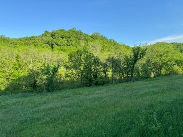 Land in Blue River, Wisconsin, United States 1 - 18073707