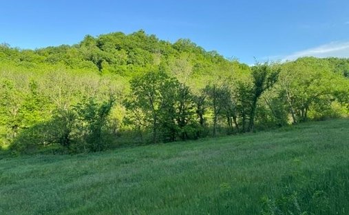 Land in Blue River, Wisconsin, United States 1