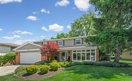House in Arlington Heights, Illinois, United States 1