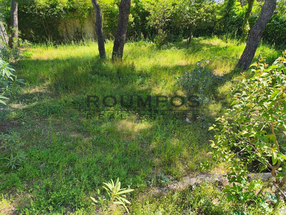 Land in Penteli, Attica, Greece 4 - 18072306
