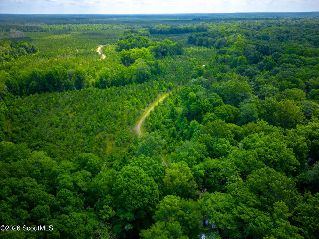 Farm Ranch in Jacksonville, Georgia, United States 2 - 18076499