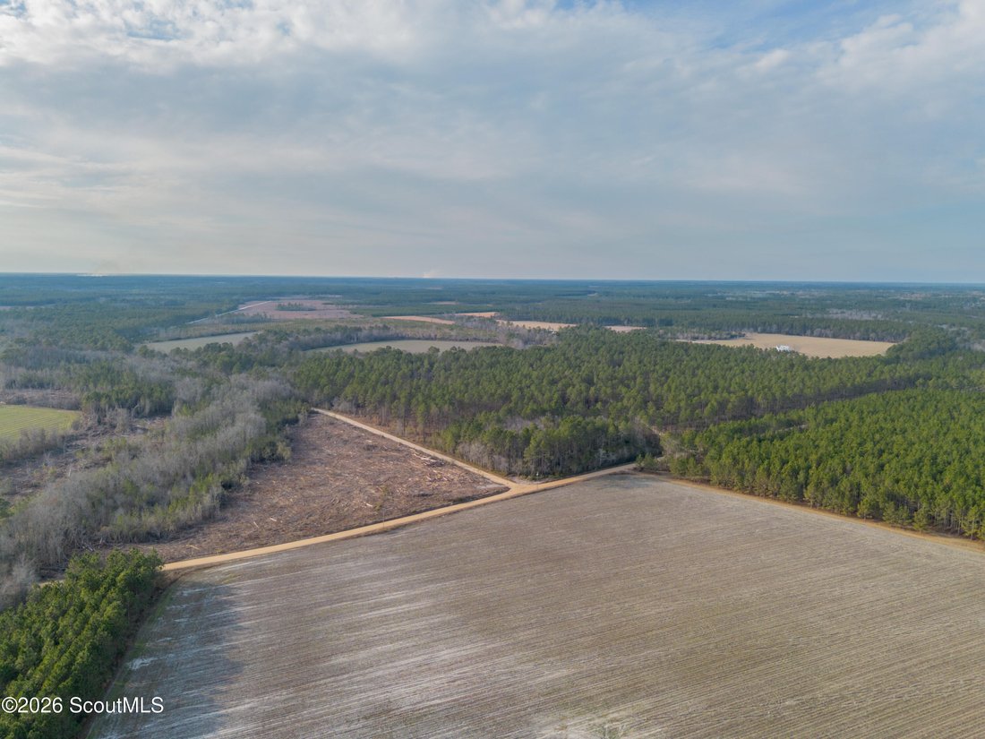 Farm Ranch in Odum, Georgia, United States 1 - 18076562