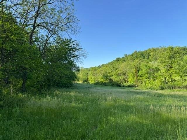Land in Blue River, Wisconsin, United States 3 - 18073707