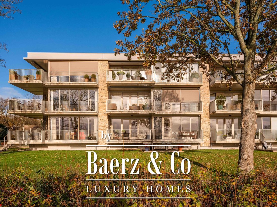 Apartment in Bergen, North Holland, Netherlands 1 - 16708702