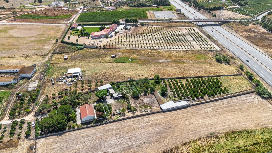 Farm Ranch in Quinta do Anjo, Setubal, Portugal 1 - 14494425