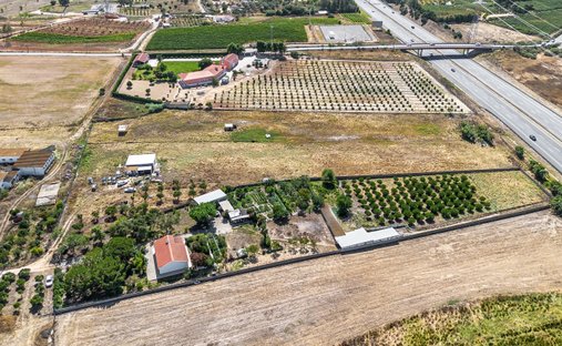 Farm Ranch in Quinta do Anjo, Setubal, Portugal 1
