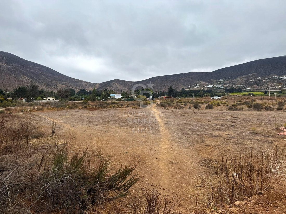Land in La Serena, Coquimbo, Chile 5 - 18076567