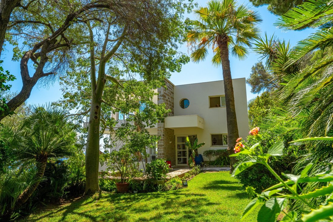 House in Centre Ville, Ajaccio, France 5 - 15907451