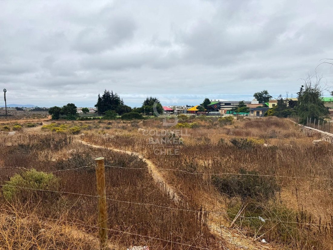 Land in La Serena, Coquimbo, Chile 4 - 18076567