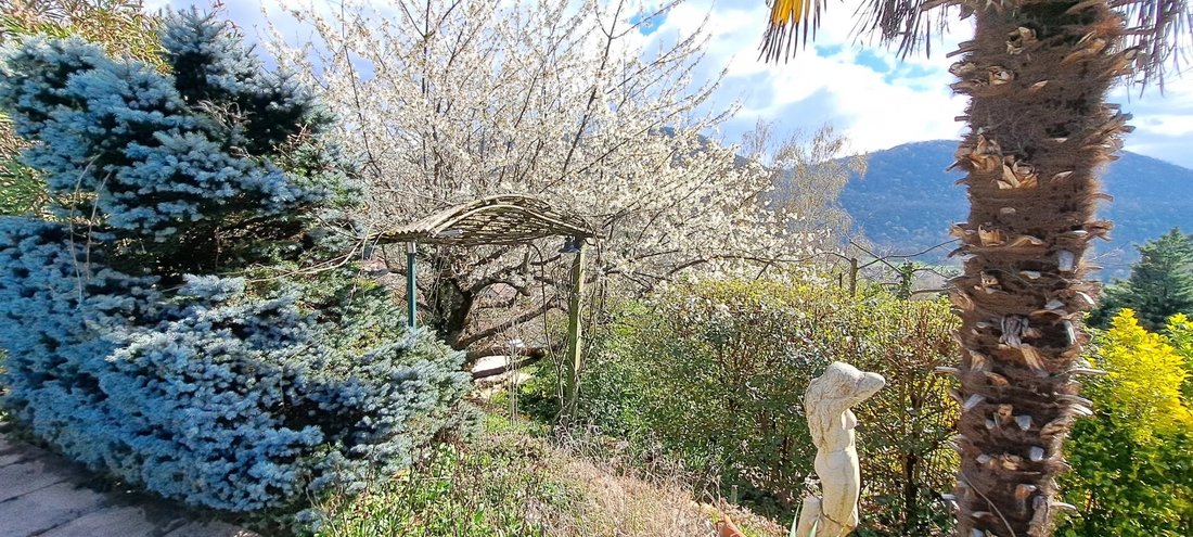 House in Jarrie, Auvergne-Rhône-Alpes, France 5 - 18073142
