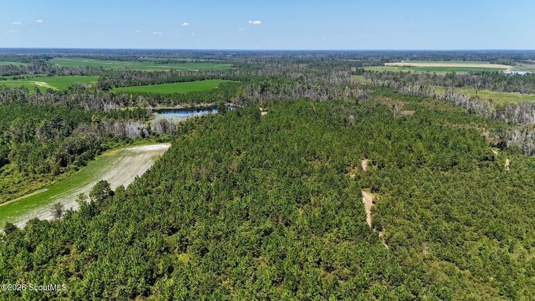 Farm Ranch in Hazlehurst, Georgia, Vereinigte Staaten 5 - 18076448