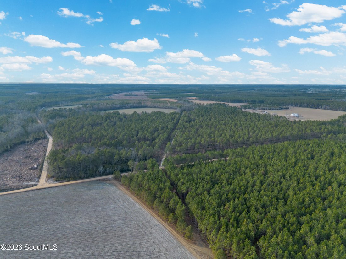 Farm Ranch in Odum, Georgia, United States 2 - 18076562