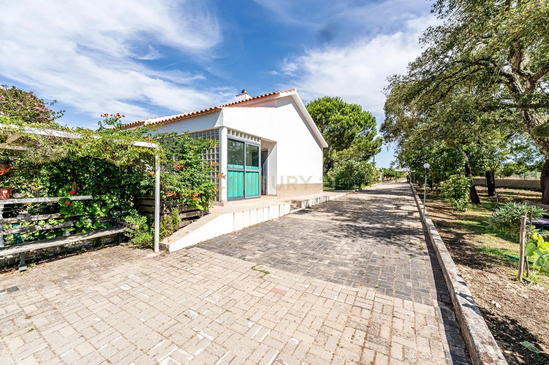 Farm Ranch in Quinta do Anjo, Setubal, Portugal 3 - 14494425