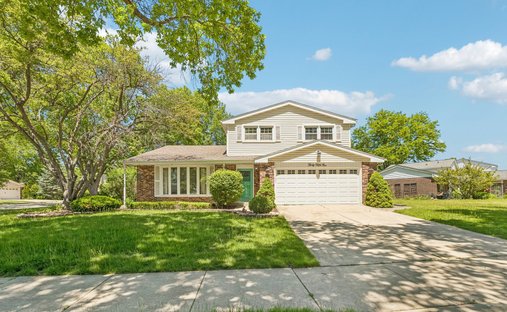 House in Prospect Heights, Illinois, United States 1