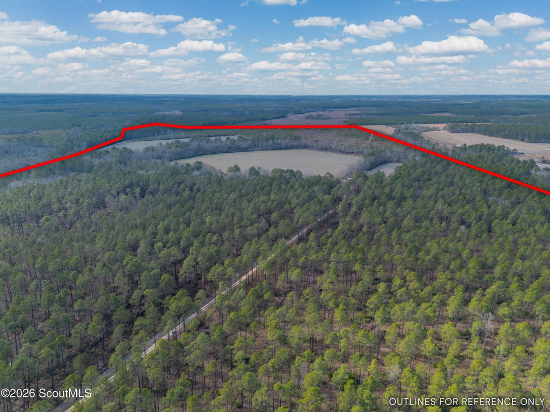 Farm Ranch in Odum, Georgia, United States 4 - 18076562