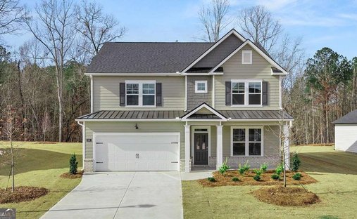 House in Senoia, Georgia, United States 1