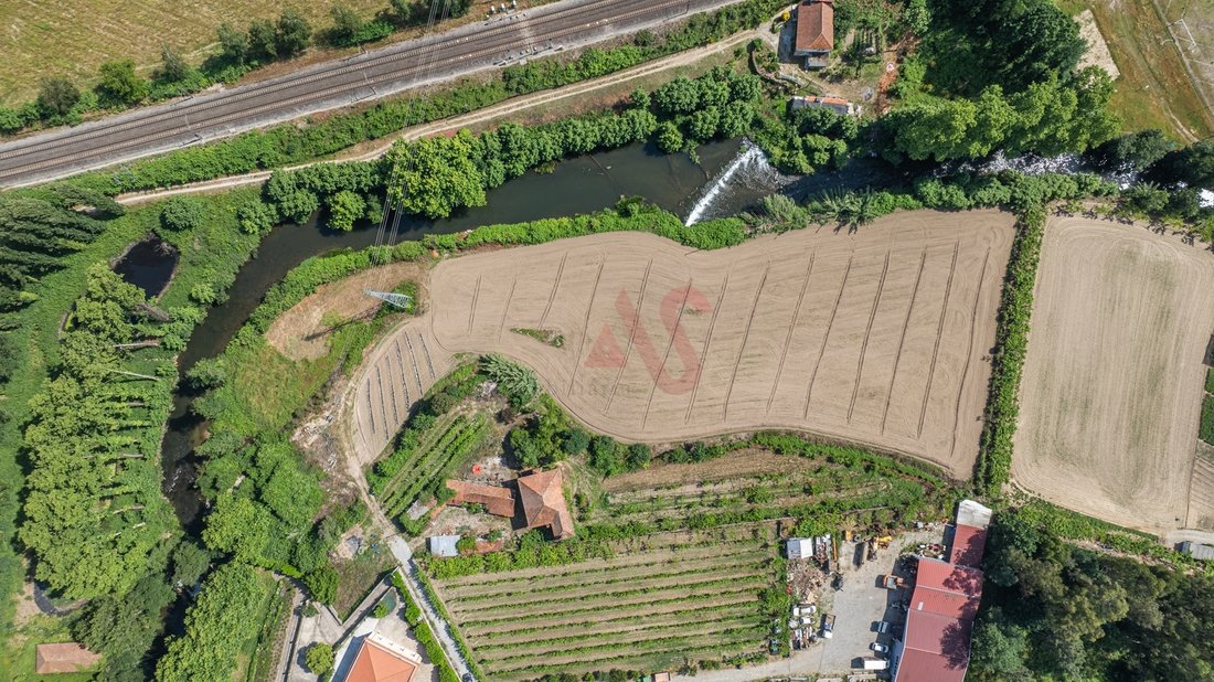 Farm Ranch in Penafiel, Porto District, Portugal 2 - 18074553