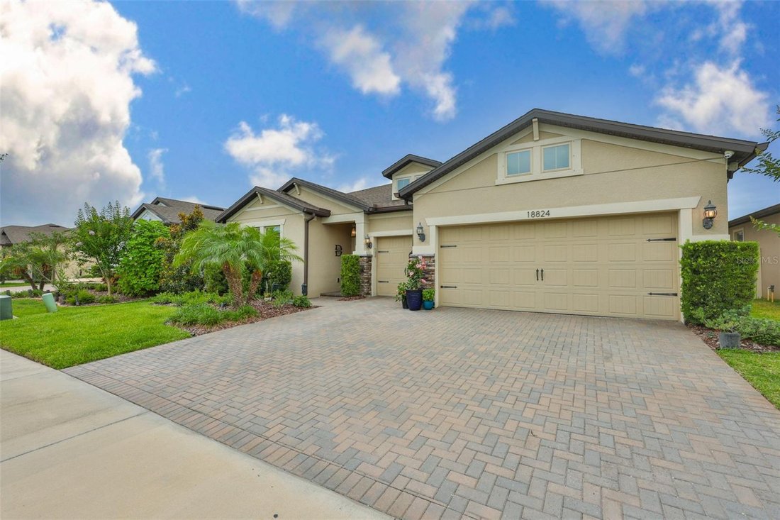 House in Land O' Lakes, Florida, United States 3 - 18071772