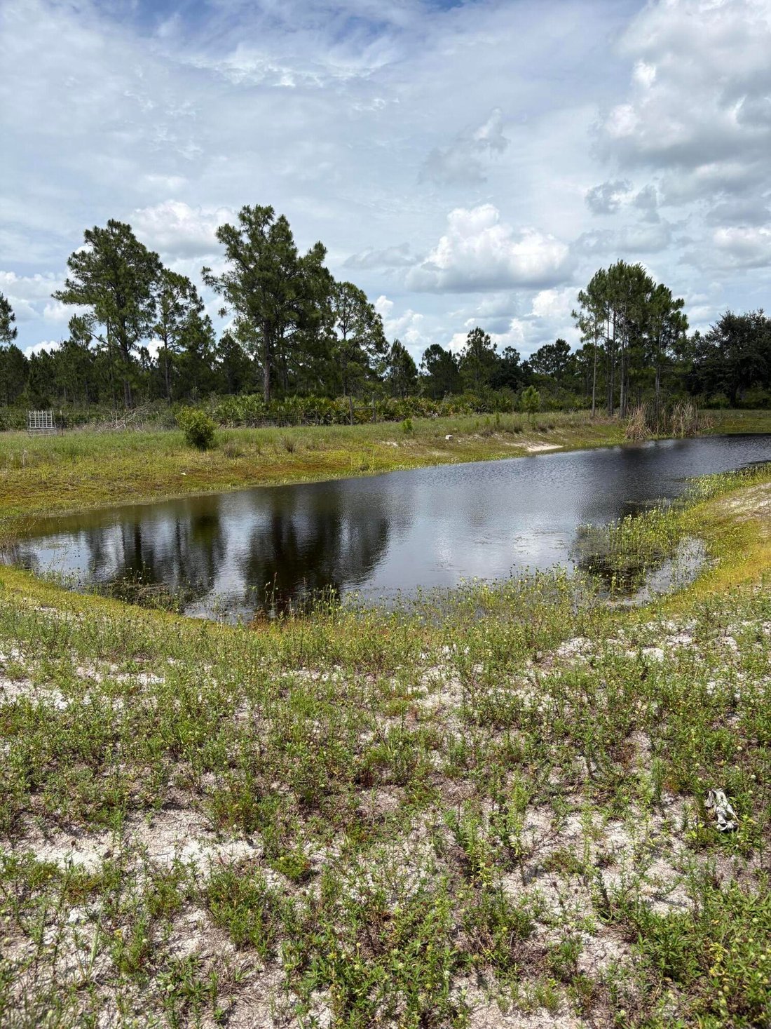 House in Labelle, Florida, United States 4 - 18072047