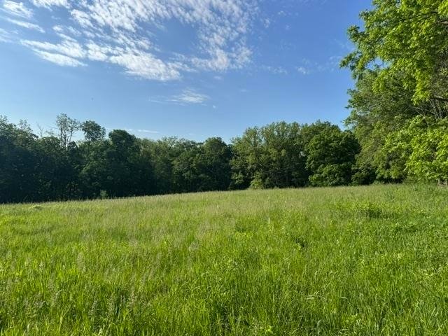 Land in Blue River, Wisconsin, United States 2 - 18073707