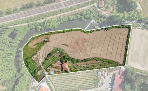 Farm Ranch in Penafiel, Porto District, Portugal 1
