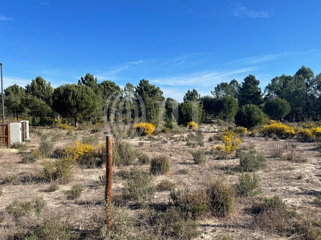 Land in Carvalhal, Setubal, Portugal 2 - 18077521