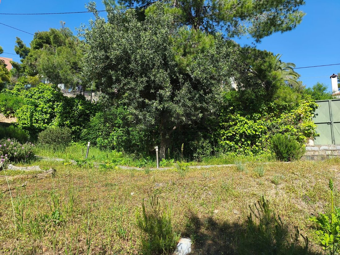 Land in Penteli, Attica, Greece 2 - 18072306