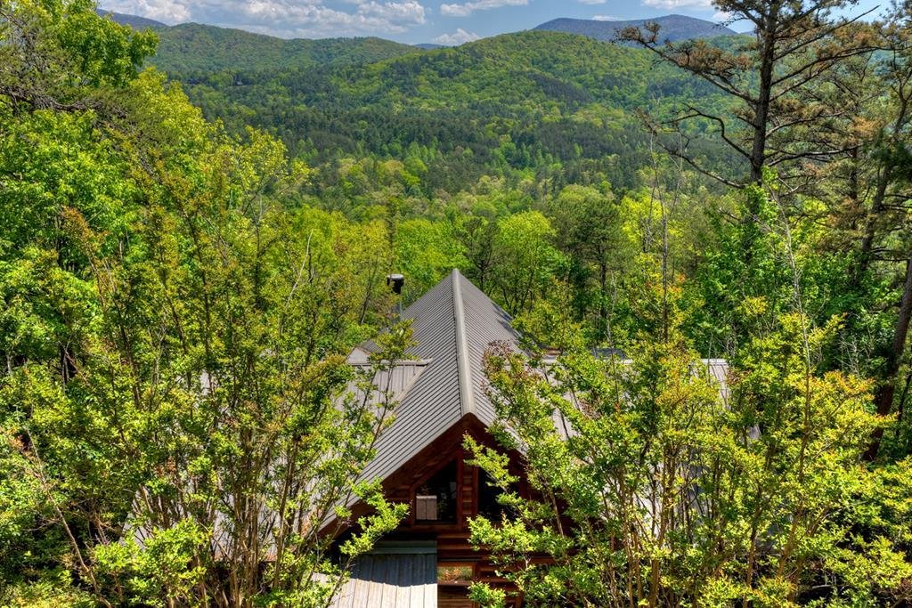House in Cherry Log, Georgia, United States 2 - 17162474
