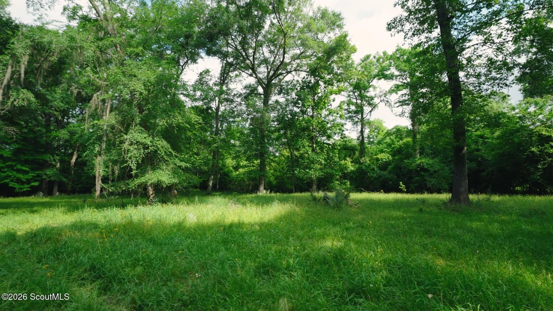 Farm Ranch in Jacksonville, Georgia, United States 4 - 18076499