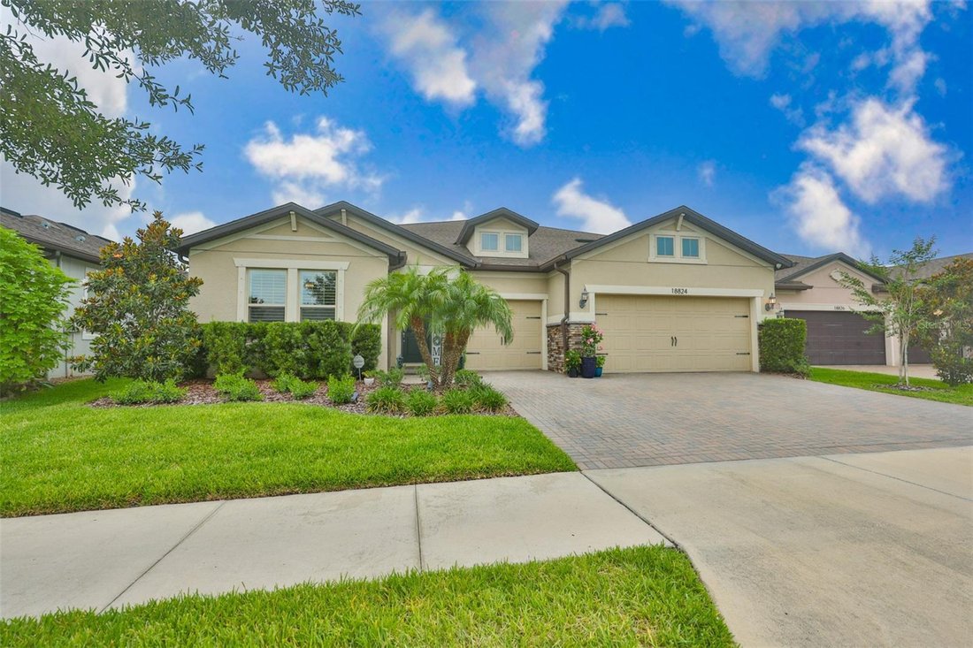House in Land O' Lakes, Florida, United States 1 - 18071772