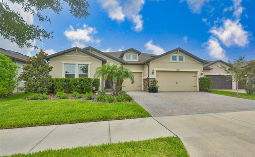 House in Land O' Lakes, Florida, United States 1