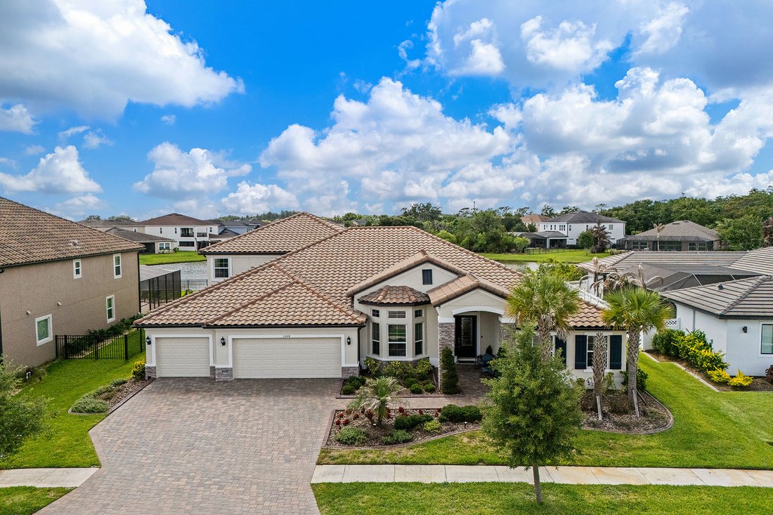 House in Wesley Chapel, Florida, United States 1 - 18079813