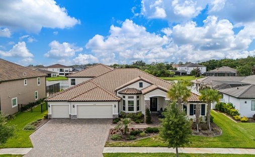 House in Wesley Chapel, Florida, United States 1