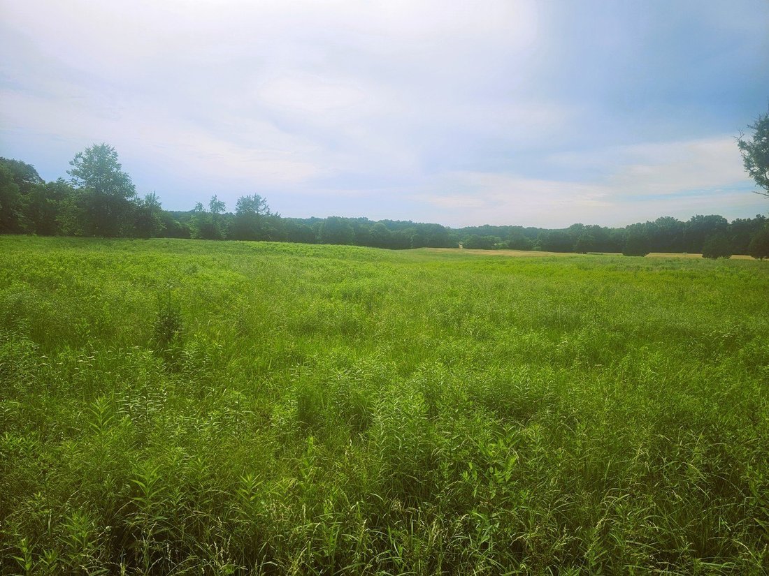 Land in Opdyke, Illinois, United States 1 - 18079758