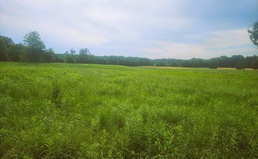 Land in Opdyke, Illinois, United States 1
