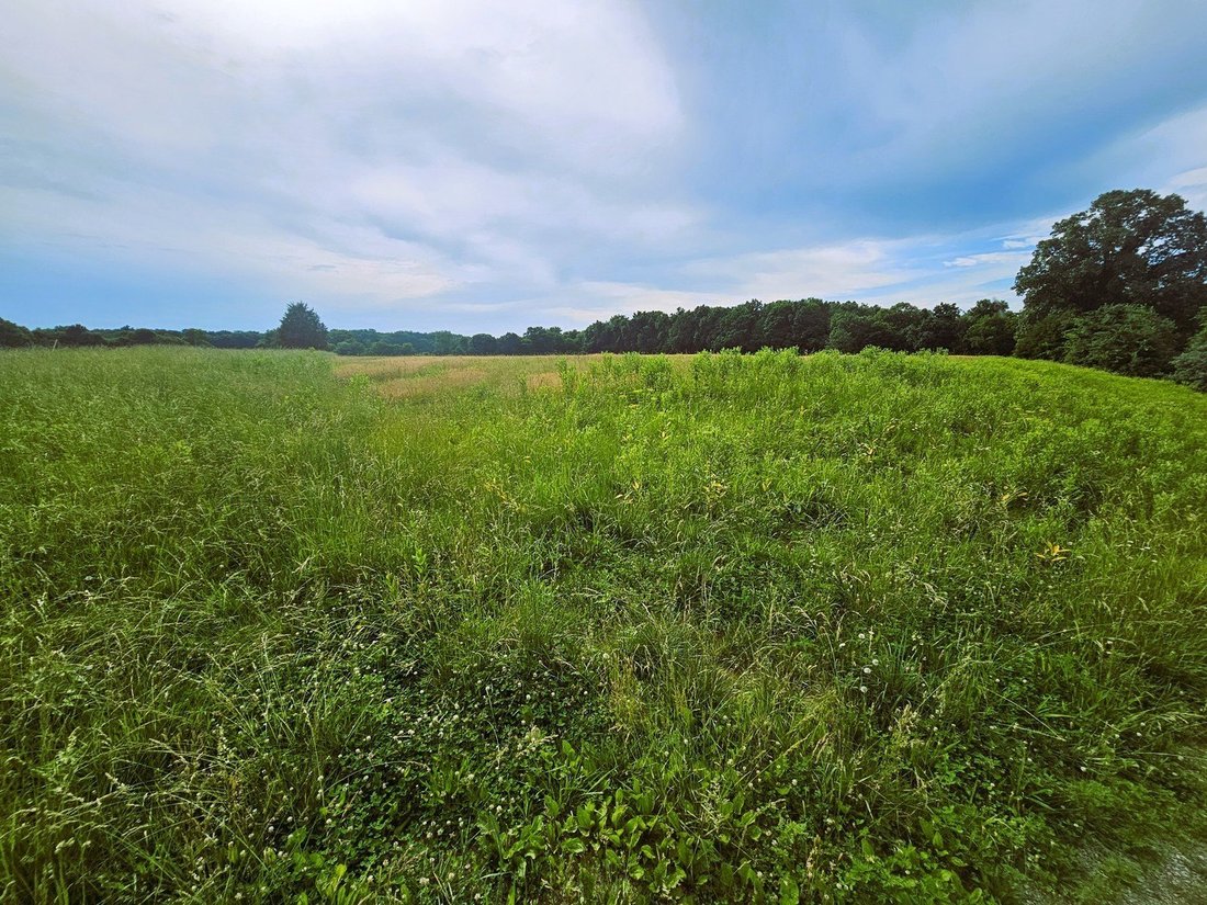Land in Opdyke, Illinois, United States 3 - 18079758