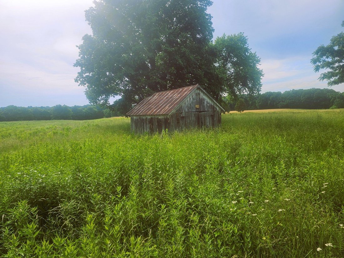 Land in Opdyke, Illinois, United States 2 - 18079758