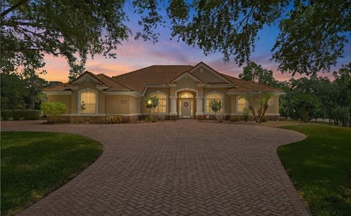 Casa a Hernando, Florida, Stati Uniti 1