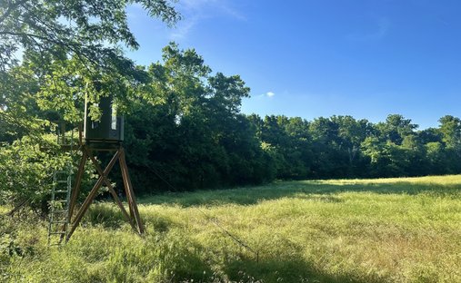 Land in Quincy, Missouri, United States 1