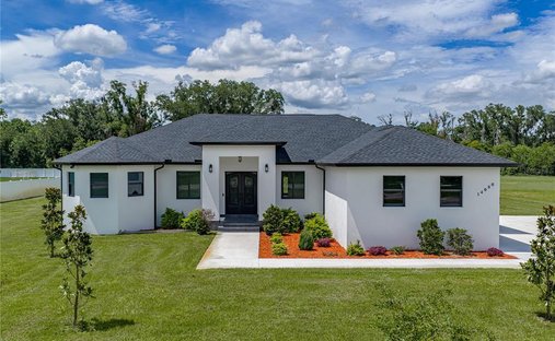 House in Dover, Florida, United States 1